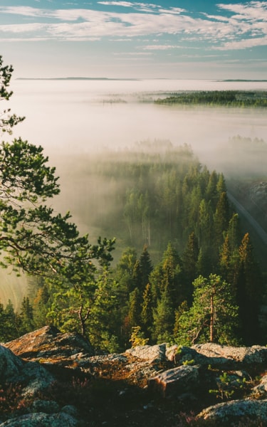Scenic view from above of a misty forest with rocky terrain and a partly cloudy sky.